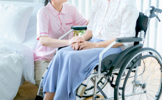 多彩なラインナップ